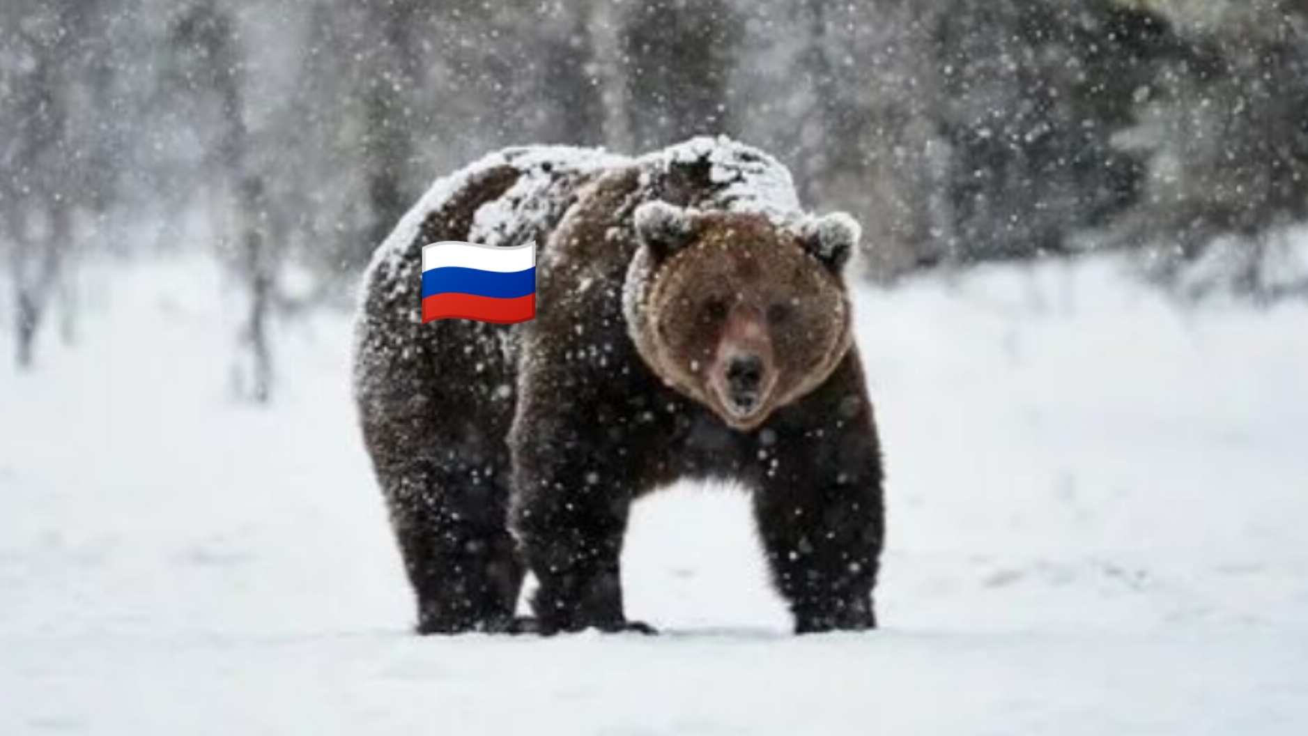 Торо расклад на Сво между Россией, и Украиной,с 1 по 8 февраля , этого 2025 года, Часть 2, доп!!🇷🇺