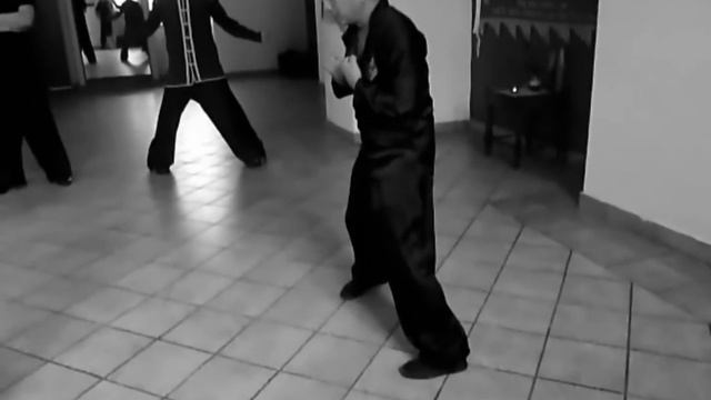 Grand Master Lam Chun Sing 林鎮成 - Sap ying kuen (seminar Plzeň 2014)