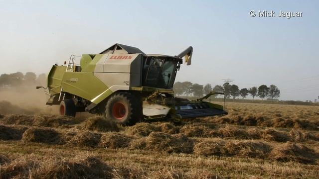 Claas Tucano 450 - graszaad dorsen