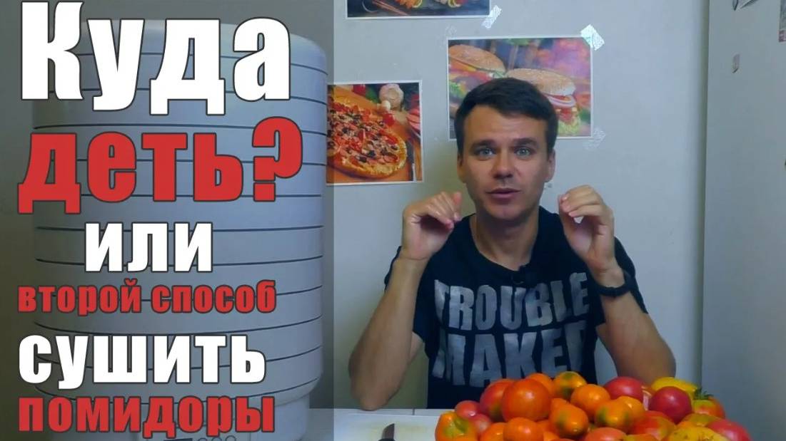 2 способа сушить помидоры в электро-сушилке