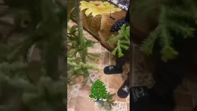 В Лесу Родилась ёлочка 🎄