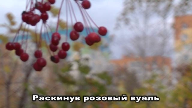 Я ехала домой