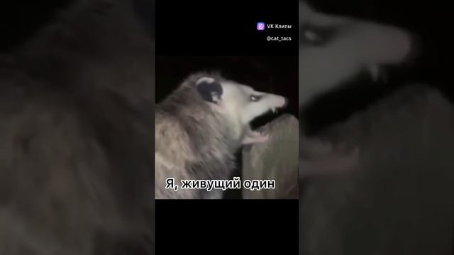 Ссыкатно как то 😂