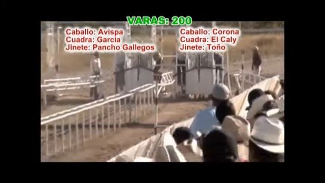 la abispa vs la corona