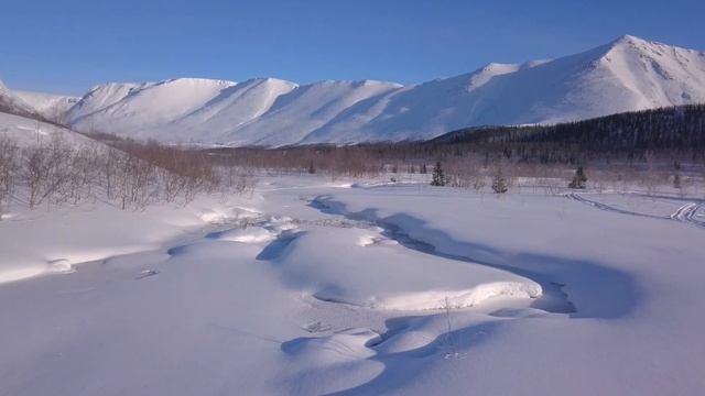 Обычный день снегоходной школы...