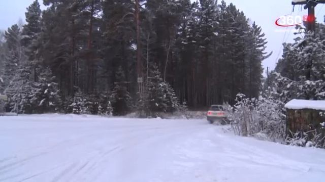 В целях сохранения окружающей среды - вырубить лес под застройку