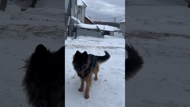 Вот так вот)