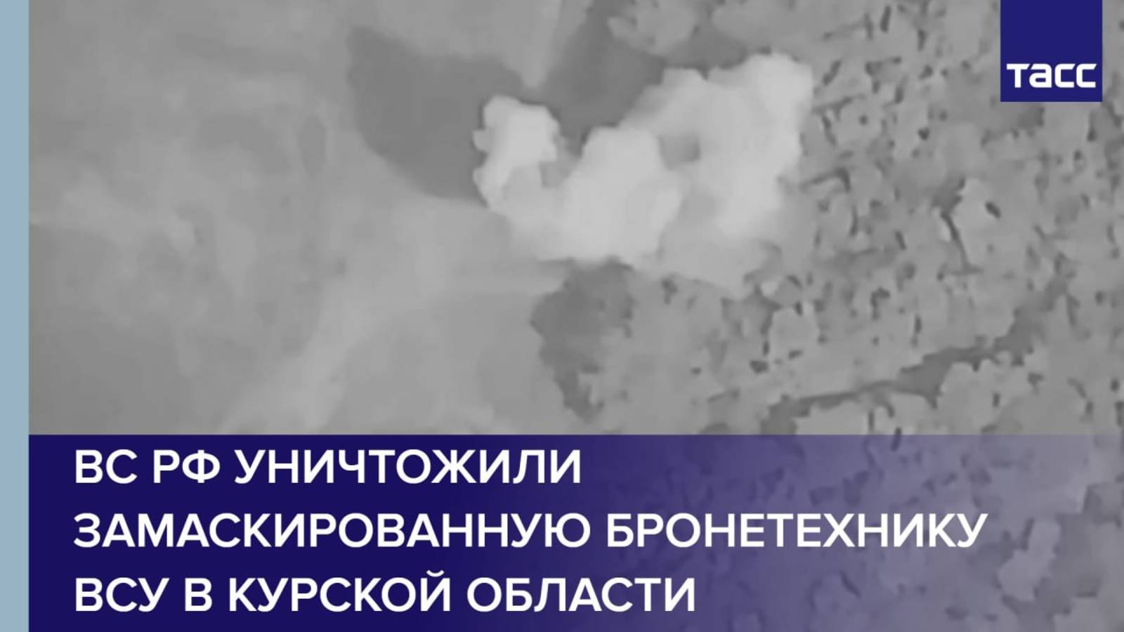 ВС РФ уничтожили замаскированную бронетехнику ВСУ в Курской области