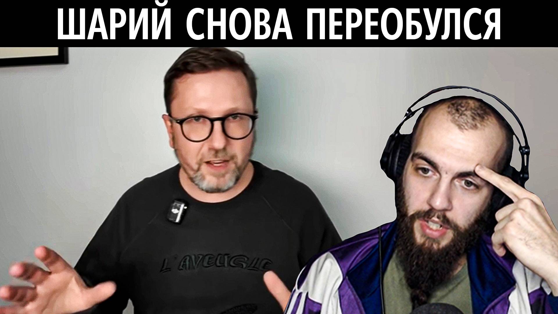 Лебедь смотрит Шария и как фронт летит в тартарары