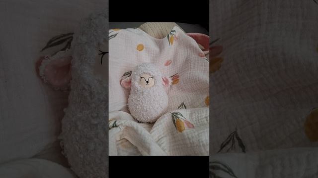 1000051326.mp4