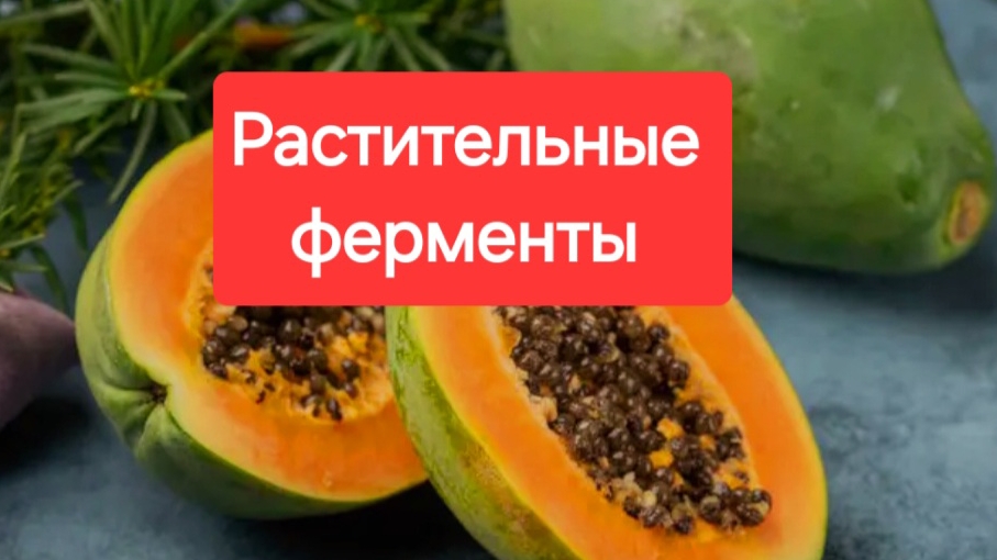 Растительные ферменты,  что это? И для чего они нужны?