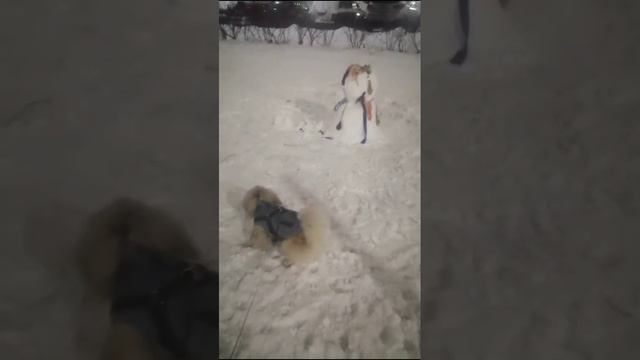 Страшный снеговик!