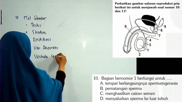 (REUPLOAD) LIVE STREAMING 9 SMP IPA BIOLOGI REVIEW 7