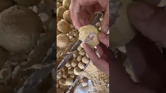 #food #cooking #videoshort #fruit #eggs #delicious #trunglon #funny #yummy #satisfying