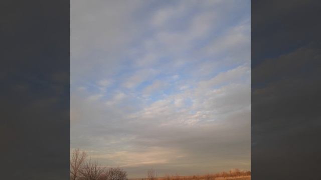 Video.Guru_20250115_173037627