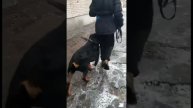 В такую погоду он моё солнце