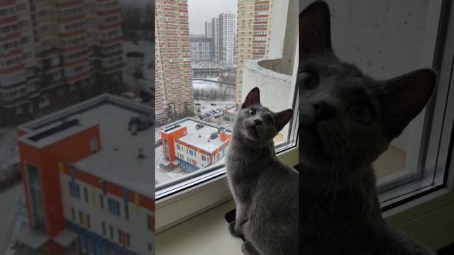 Ловим снежинки