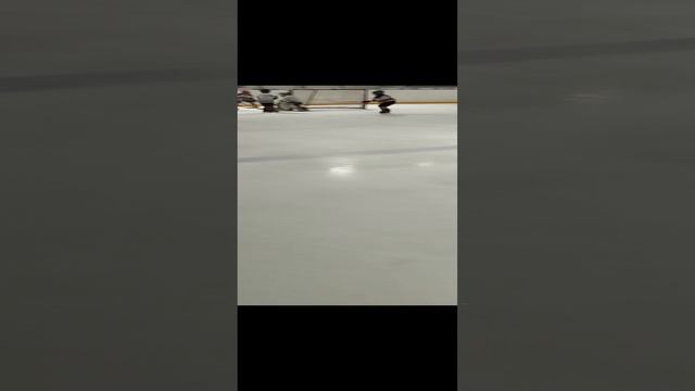 хоккей 🏒 для чего