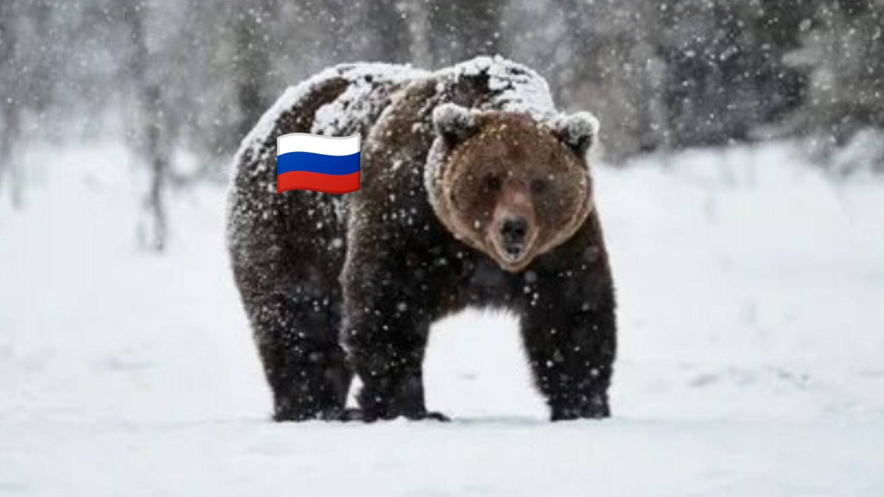 Торо расклад на Сво между Россией и Украиной, с 8 по 15 февраля 2025 года,для нашей России матушки!!