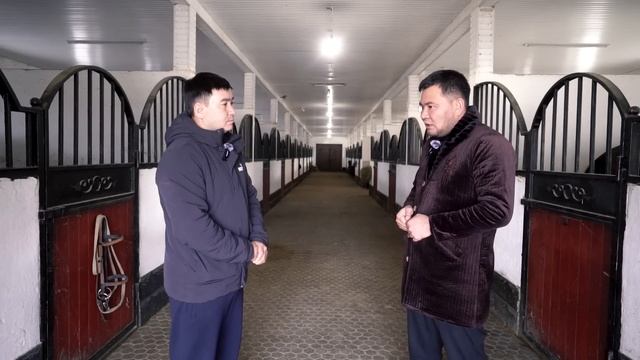 Талхиз| Ат дайындау жүйесі| Ат таңдау| Қолтума| Жылқы тамағы| Допинг|
