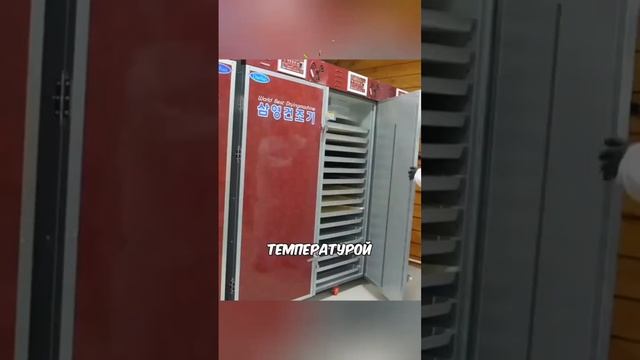 Как это готовят,🤔 здоровая еда ?