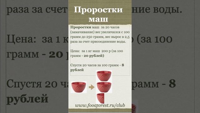 Проростки увеличились в 2,5 раза  через 20 часов