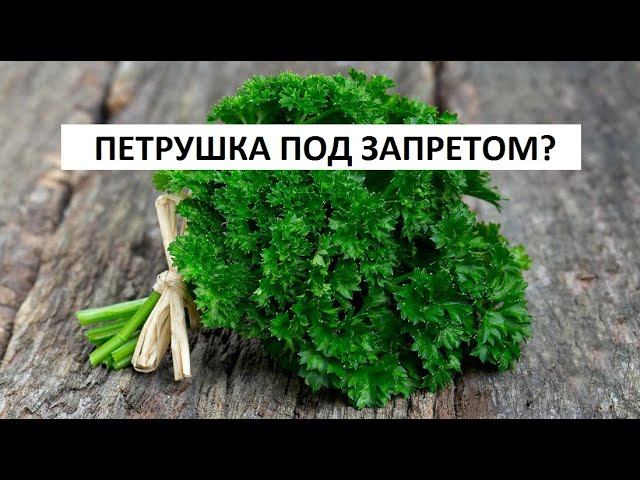 Петрушка под запретом?