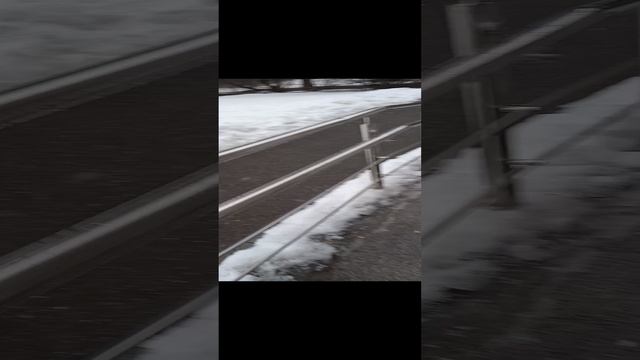 Я вышла из школы сегодня будет ролик