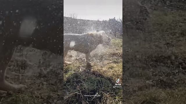 водные процедуры в любое время)