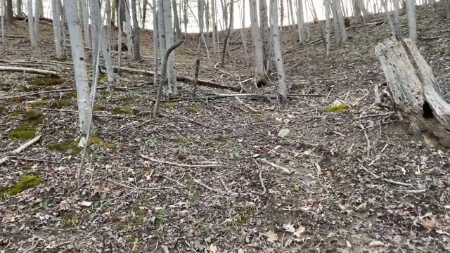 Bkt tr126 tire test ride