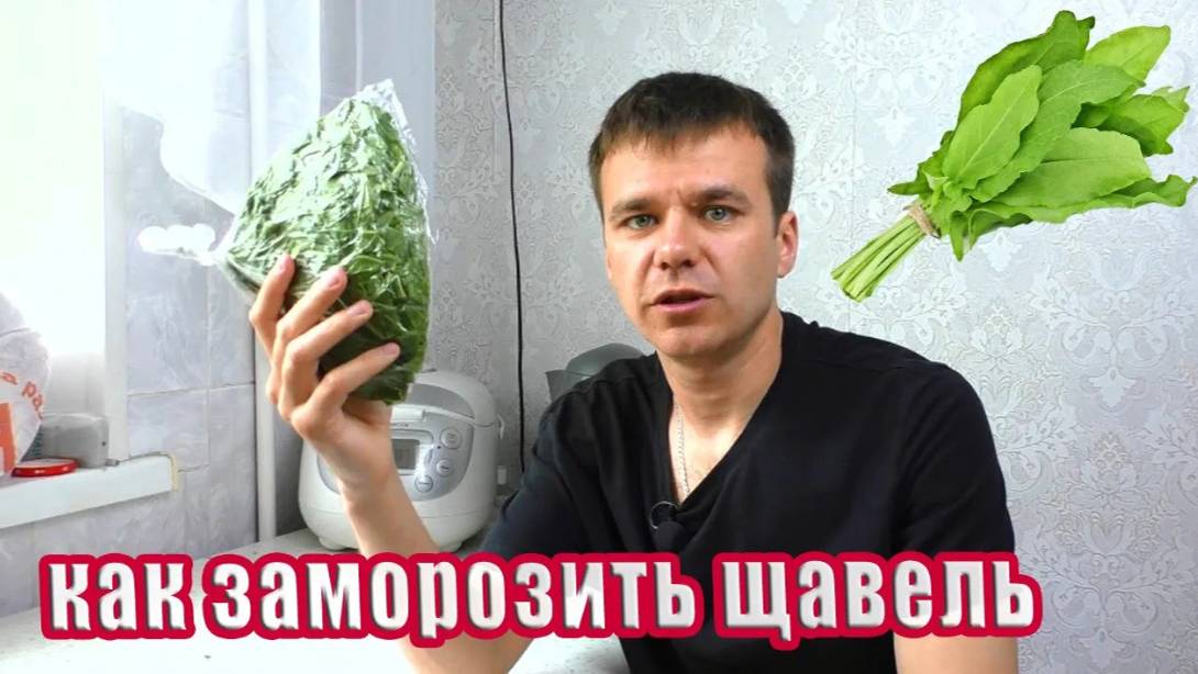 Как заморозить щавель на зиму