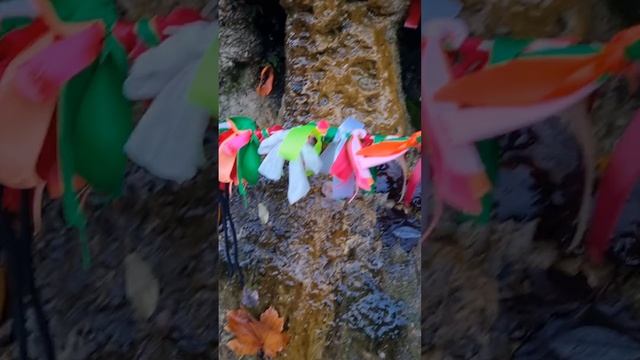 1000069317.mp4