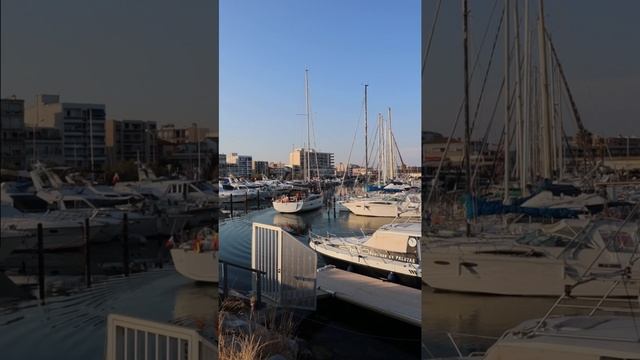 12889715-uhd_2160_3834_30fps
