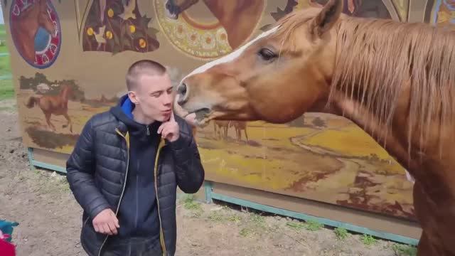 кони