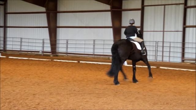 KRISTIN AND JURGEN DRESSAGE 4-2013