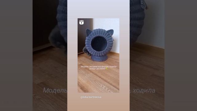VID 286760606 020304 070