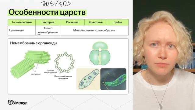 Как решить задание №2 для ОГЭ по биологии I Умскул