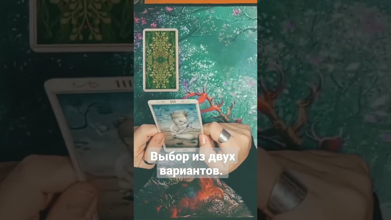 Выбор из двух вариантов.