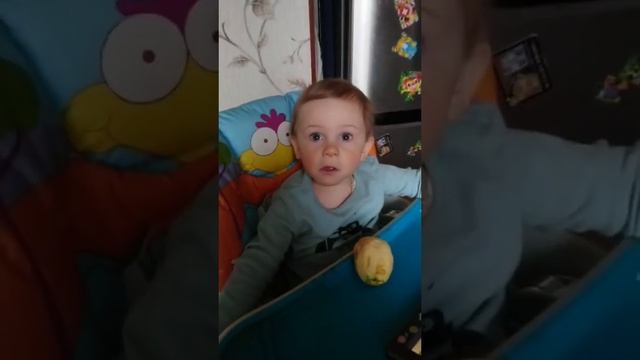 песенка енота