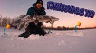 РЫБАЛКА НА ЖЕРЛИЦЫ В ЯНВАРЕ | ГЛУХОЗИМЬЕ???