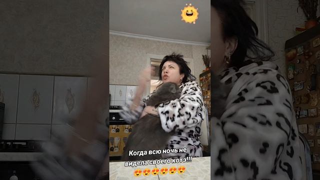 🤣🤣🤣🤣🤣🤣