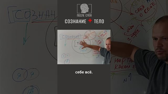 Тело и Сознание
