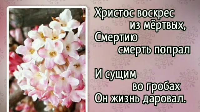 53 Христос воскрес из мёртвых (-)