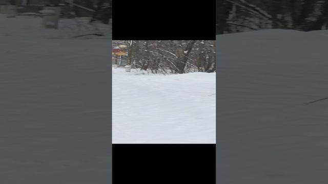 Прогулка по парку.mp4
