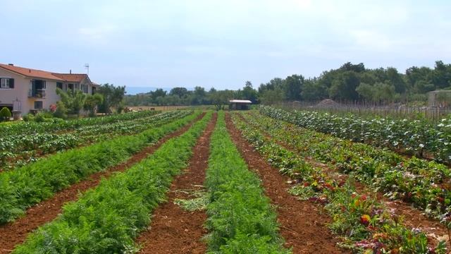 From garden to the restaurant /Hotel Villa Margaret, Porat