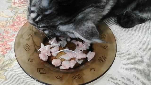 VID_20250106_152530.mp4