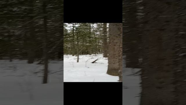 1000017291.mp4