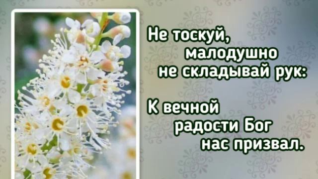 166 Если больно тебе (-)