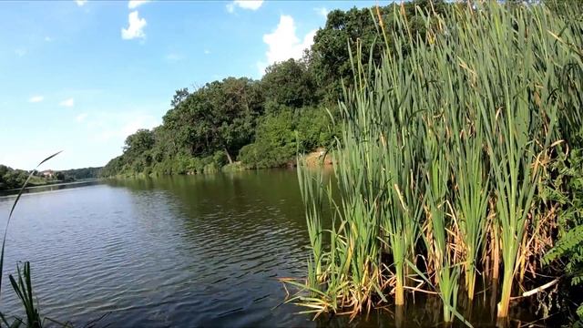 La pescuit pe balta Brănești 2