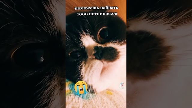 1000002292.mp4